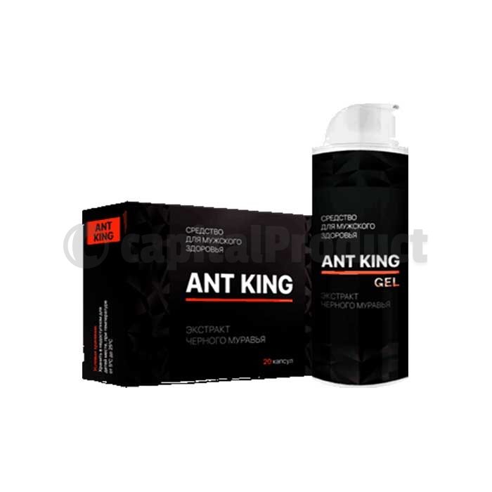 Ant King (Ант Кинг)